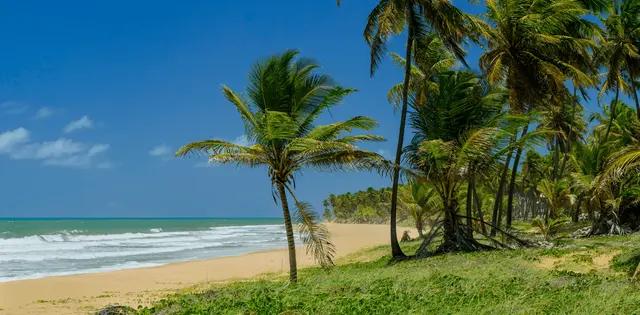 Viagem de fim de semana: 3 dias para curtir destinos perto de você
