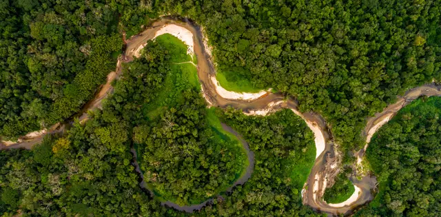 Melhor época para ir a Manaus: cheia, seca dos rios e Parintins