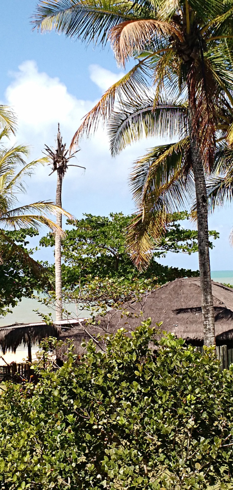 [Março] Rio → Porto Seguro por R$ 546