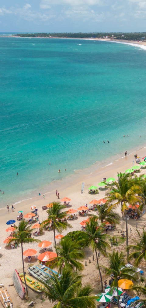 [Feriado de 1º de maio] SP → Recife por R$ 729 com voo direto