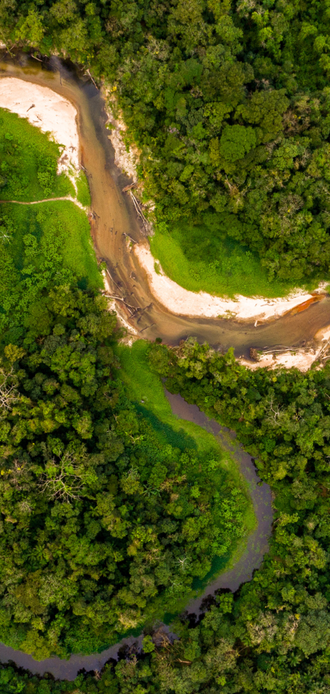 [Achado raro] SP → Manaus por R$ 746, ida e volta, em abril a junho