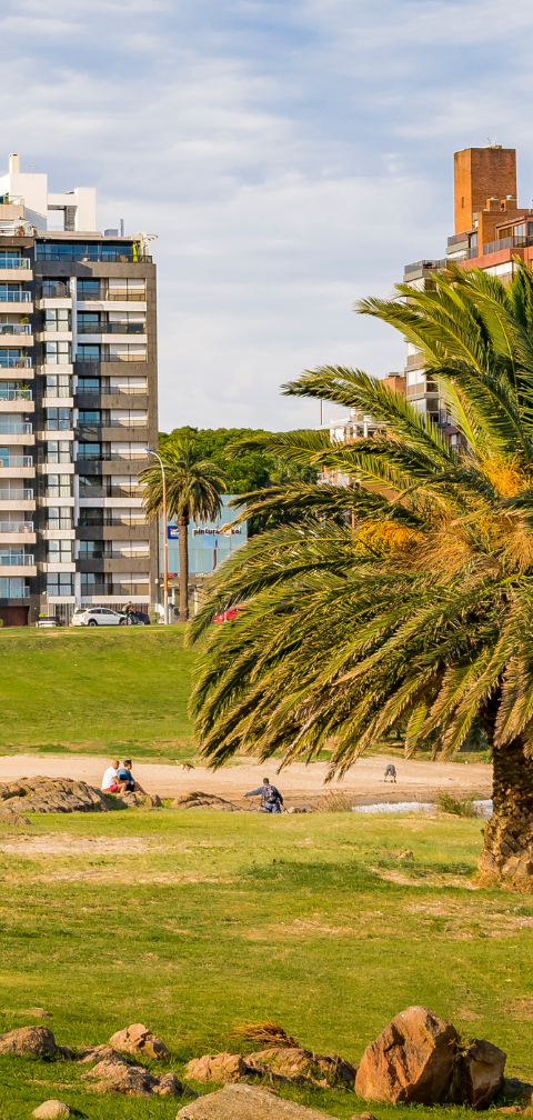 [Voo direto] Fortaleza → Montevidéu por R$ 1.689