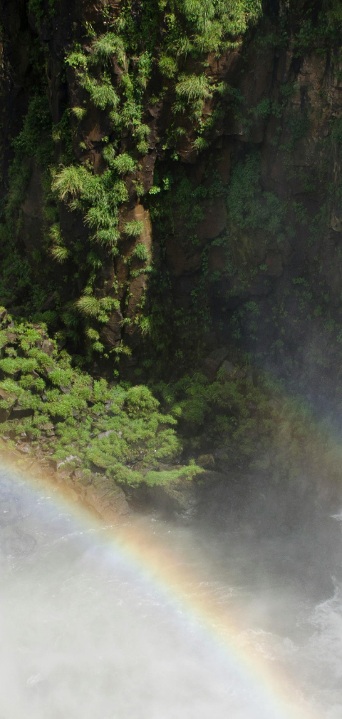 [Voo direto] Rio → Foz do Iguaçu por R$ 614
