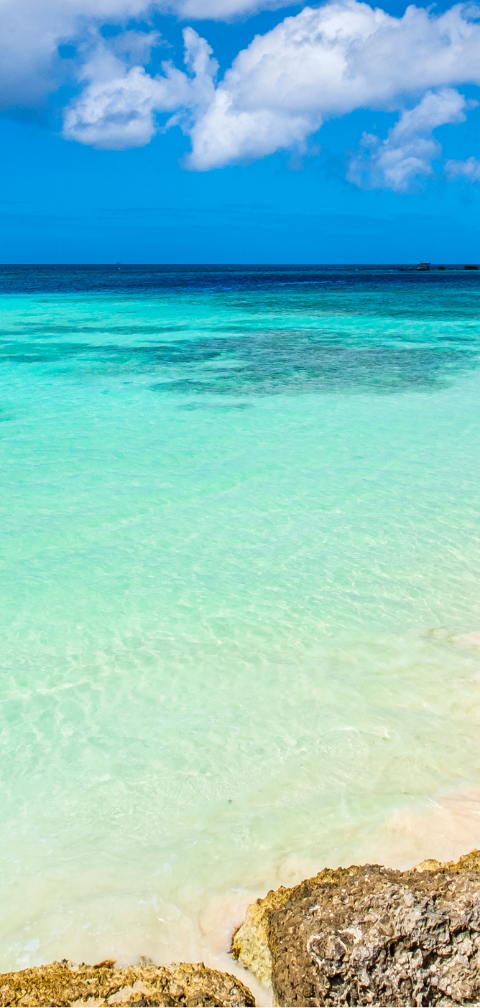 [Voo direto] São Paulo → Aruba por R$ 1.650, ida e volta