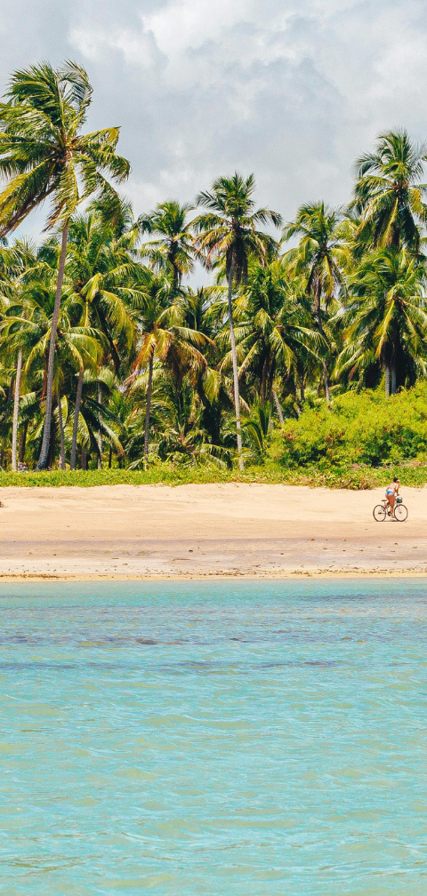 [Voo com 1 conexão] Fortaleza → Maceió por R$ 958, ida e volta, em novembro