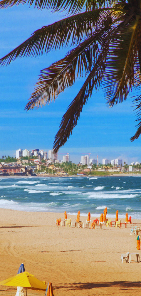 [Achado] BH - Salvador: voo direto por R$ 541, ida e volta