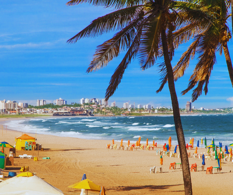 [Achado] CWB - Voos para Salvador por R$ 556, ida e volta