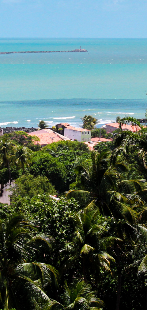 [Achado] FOR - Voe direto para o Recife por R$ 347, ida e volta