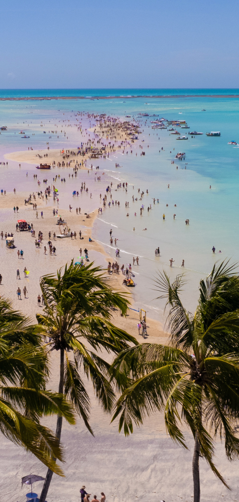 [Achado] RJ - Voo para Maceió por R$ 534, ida e volta
