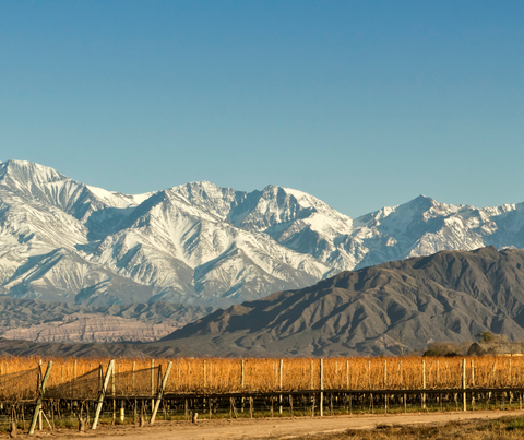 [Achado] RJ - Voos para Mendoza por R$ 1.392, ida e volta