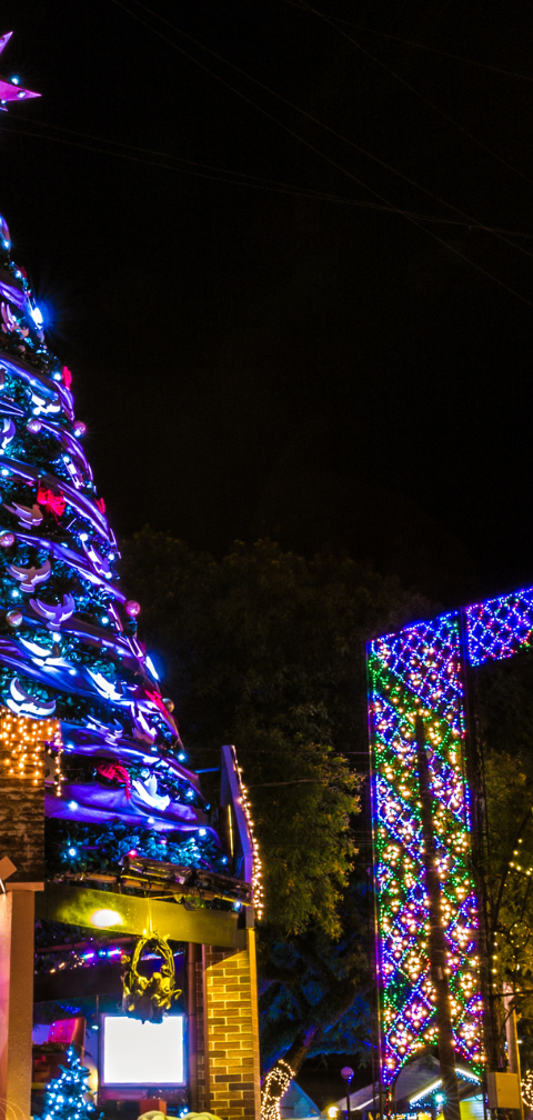 [Achado] SP - Natal Luz: voo direto para Caxias do Sul por R$ 612, ida e volta