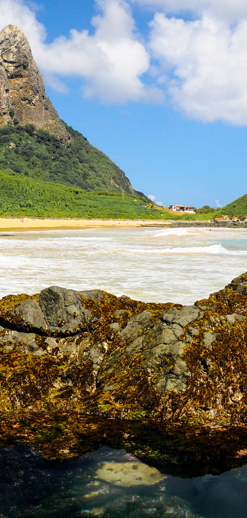[Achado] SP - Voe direto para Noronha por R$ 941, ida e volta