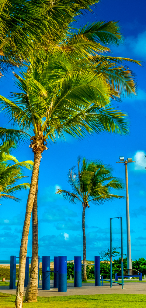 [Achado] SSA - Aracaju por apenas R$ 189, com voo direto